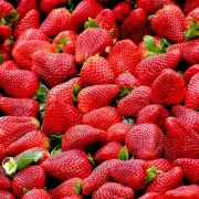 Marché de Boigny-sur-Bionne - Samedi