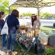 Marché de Bouzy-la-Forêt - Mercredi