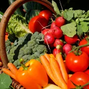 Marché de Cadillac sur Garonne