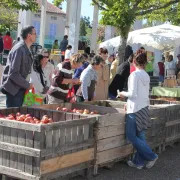 Marché de Cerizay