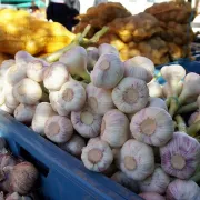 Marché de Château-la-Vallière