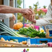 Marché de Cherveux