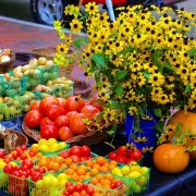 Marché de Chilleurs-aux-Bois - Jeudi