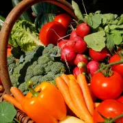 Marché de La Selle-en-Hermoy - Jeudi