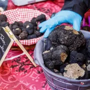 Marché De La Truffe