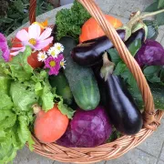 Marché de la Vallée-de-Ronsard à Couture-sur-Loir