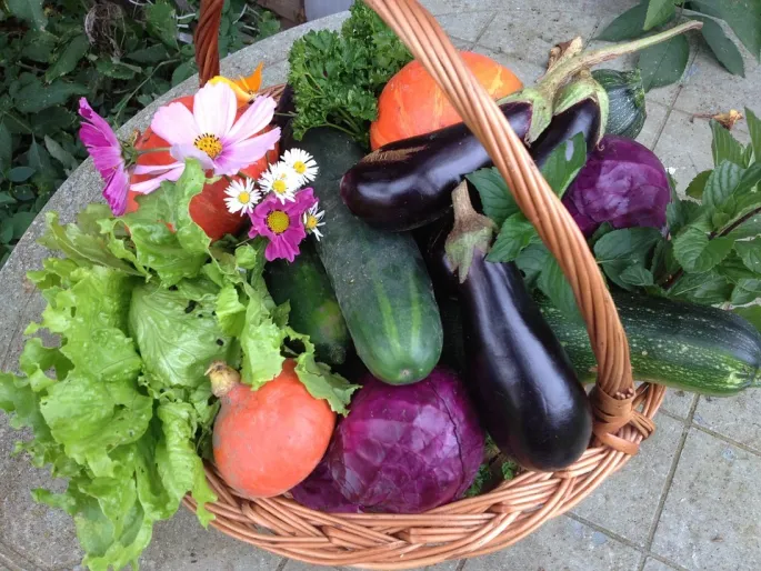 Marché de la Vallée-de-Ronsard à Couture-sur-Loir