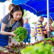 Marché de Langon le dimanche