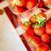 Marché de Langon le vendredi