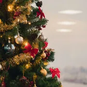 Marché De Noël 2024 à Montpeyroux