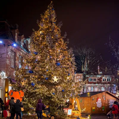 Marché de Noël à Haguenau 2024