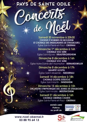 Les concerts de Noël 2024.