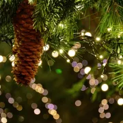 Marché de noël à Saint-Junien