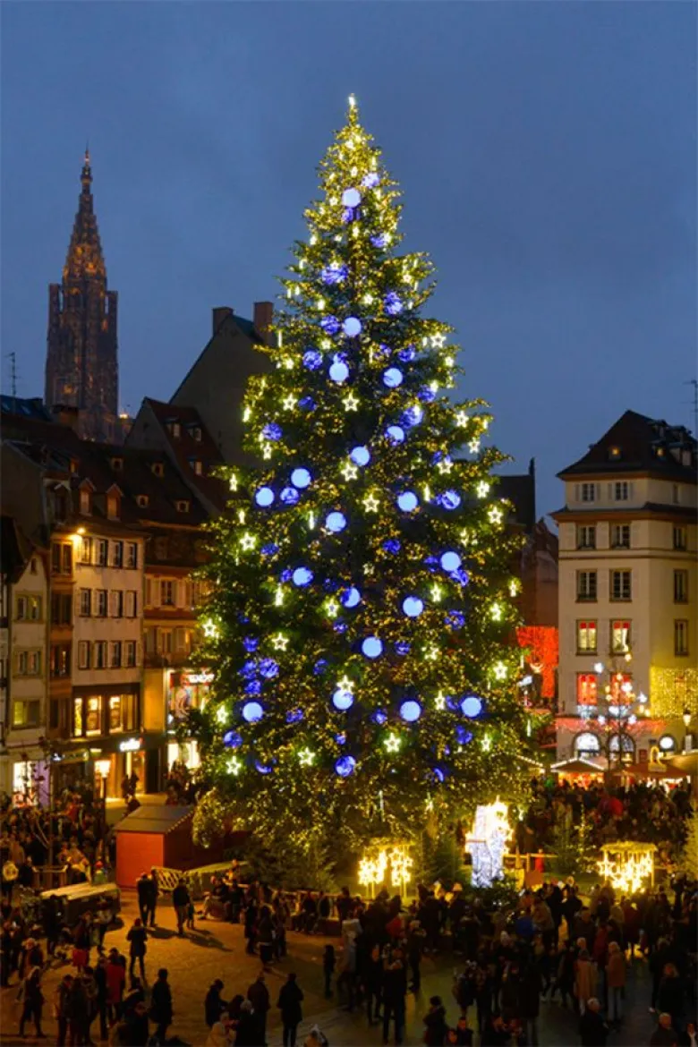 Le grand sapin illuminé du Marché de Noël  de Strasbourg. 