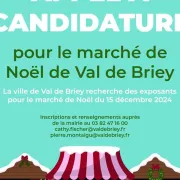 Marche De Noel Appel A Candidature