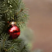 Marché de Noël - Bonnac-la-Côte