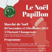 Marché de Noël de l'Association Louis l'Enfant Papillon