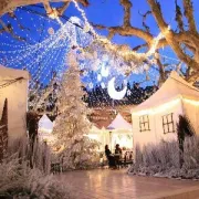 Marché de Noël de la cité de Calendal.... Cassis