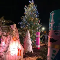 Ambiance féérique au marché de Noël de Pfastatt DR