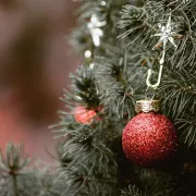 Marché de Noël du Chalet du Bois