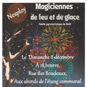 Marché de Noël et spectacle pyrotechnique