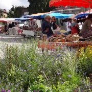 Marché de Peyrat le Château