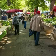 Marché de Pithiviers - Vendredi