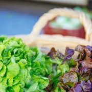 Marché de Préchac le mardi