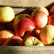 Marché de producteurs à Lancé