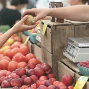 Marché de producteurs, artisans et commerçants