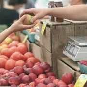 Marché de producteurs locaux et artisans