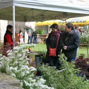 Marché De Terroir