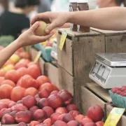 Marché de Vayres