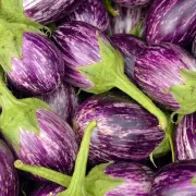 Marché des Longes - Limoges