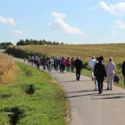 Marche des vignerons