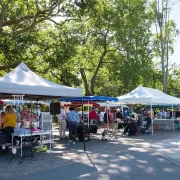 Marché du mercredi