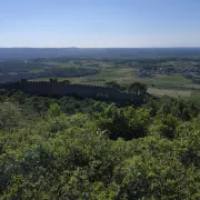 Marche Entre Garrigue Et Plaine Viticole