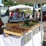 Marché gourmand à Saint-Cirgues \