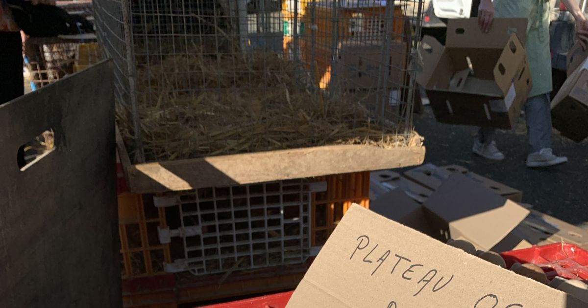 Marché hebdomadaire Cluis 2025 date, horaires, programme, tarifs