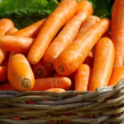 Marché Hebdomadaire Ivoy-le-pré