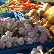 Marché hebdomadaire - Le samedi