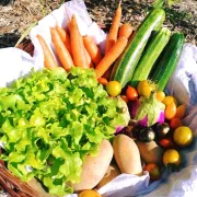 Marché hebdomadaire Mery-es-Bois