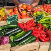 Marche Local Traditionnel