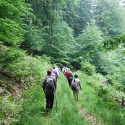 Marche Loisirs Vélo Hombourg