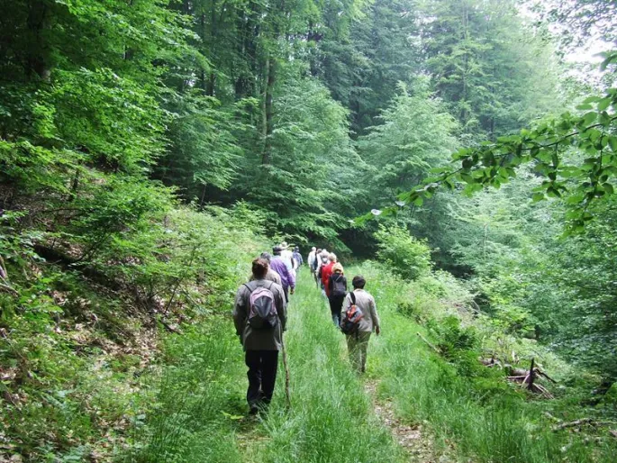 Marche Loisirs Vélo Hombourg