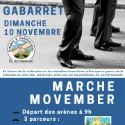 Marche Movember