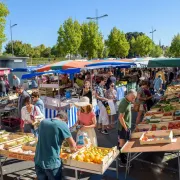 Marché Place des Carmes- Limoges