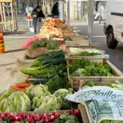 Marché Pol Lapeyre