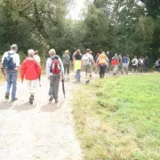 Marche Pour Le Téléthon