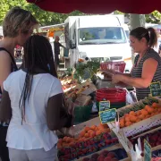 Marché provençal bi-hebdomadaire à Fontvieille